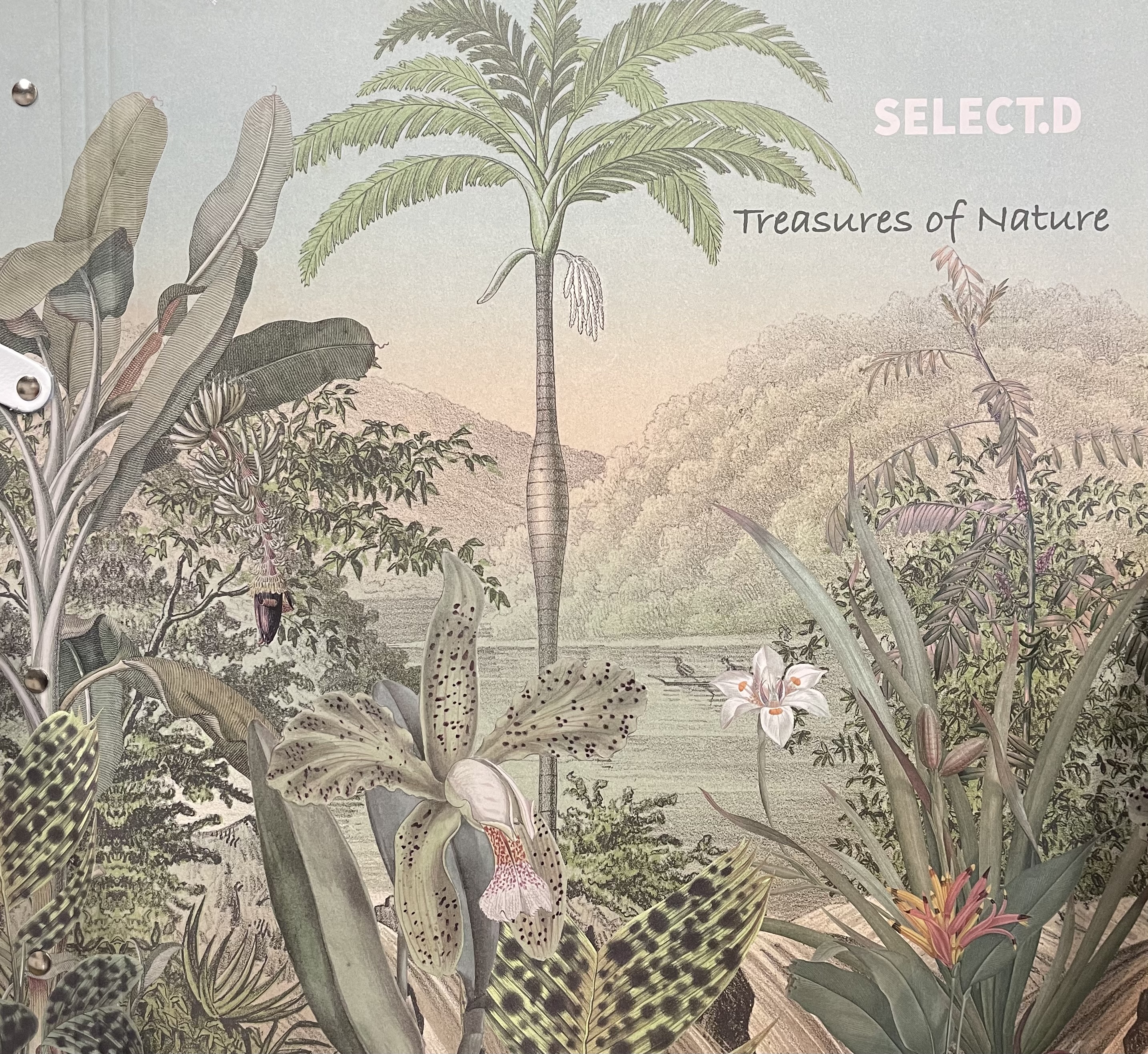 Wallpaper - Treasures of Nature - Behangexpresse
