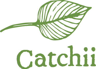Catchii - Murals - Catchii