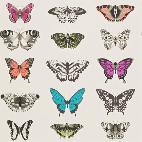 Harlequin Colour I - Papilio 111079