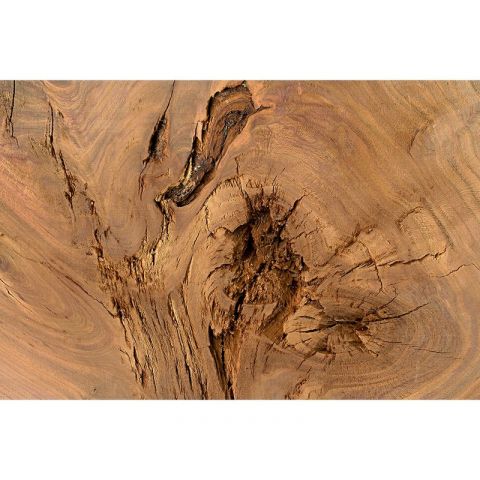 AP Digital II Log of Wood 428
