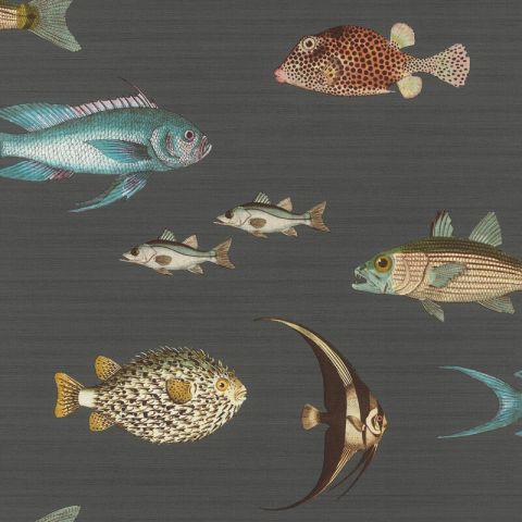 Studio Onszelf Stories - Sea Fish 553543