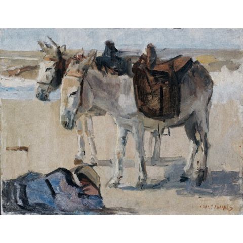 Dutch Wallcoverings Painted Memories II Two Donkeys on the Beach 8050