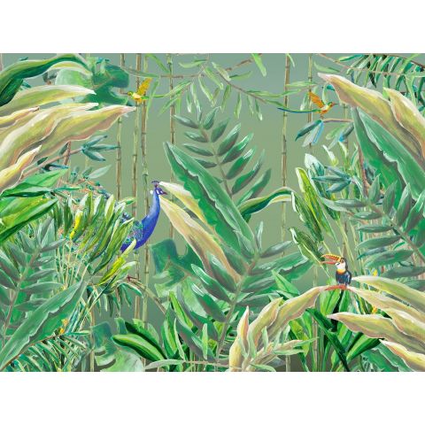 Catchii Jungle Forest W200030