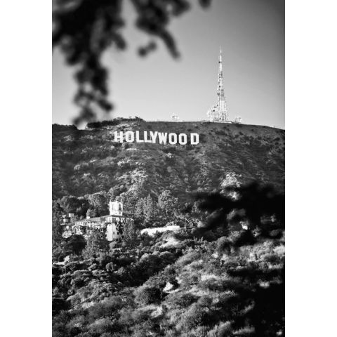 City Love Los Angeles Black & White