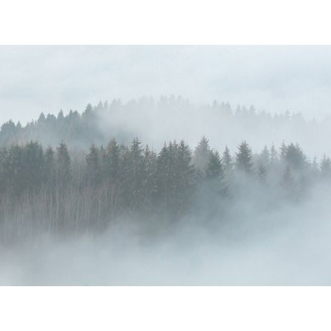 AS Creation Designwalls - Misty Forest