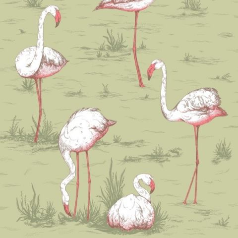 Cole & Son Icons Flamingos 112/11038