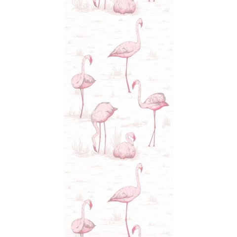 Cole & Son Contemporary  Restyled - Flamingos 95/8045