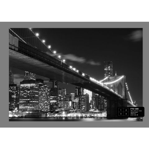 Bridge By Night Black / White FTS 1305