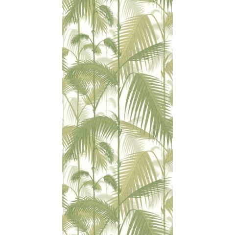 Cole & Son Contemporary  Restyled - Palm Jungle 95/1001