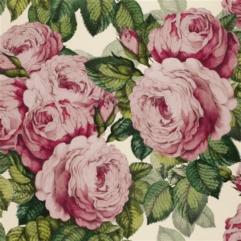 John Derian Picture Book Wallpapers - The Rose PJD6002/02