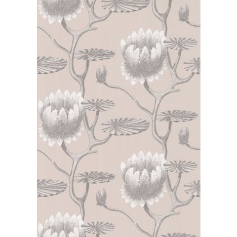 Cole & Son Contemporary  Restyled - Summer Lily 95/4025